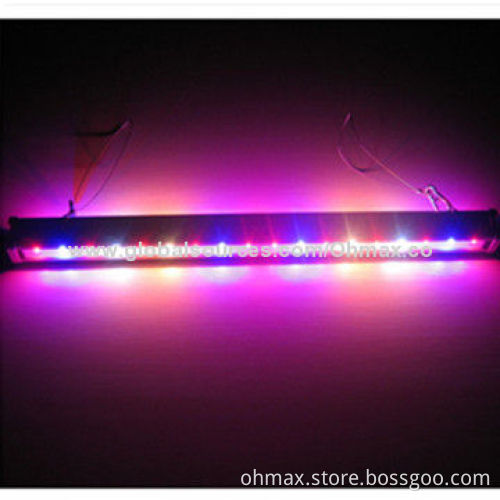Hydroponic LED Grow Lights for Indoor Plants Growing, Tomato/Cucumber/Bitter Gourd, with Double Face
